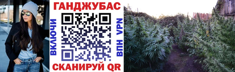 Конопля SATIVA & INDICA  Никольск 